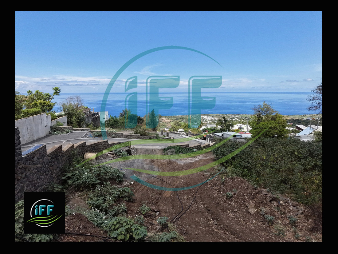 Agence immobilière de iff transaction