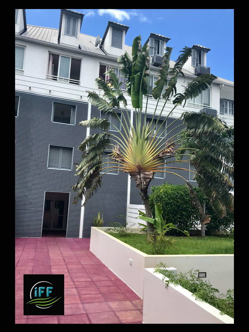 Agence immobilière de iff transaction