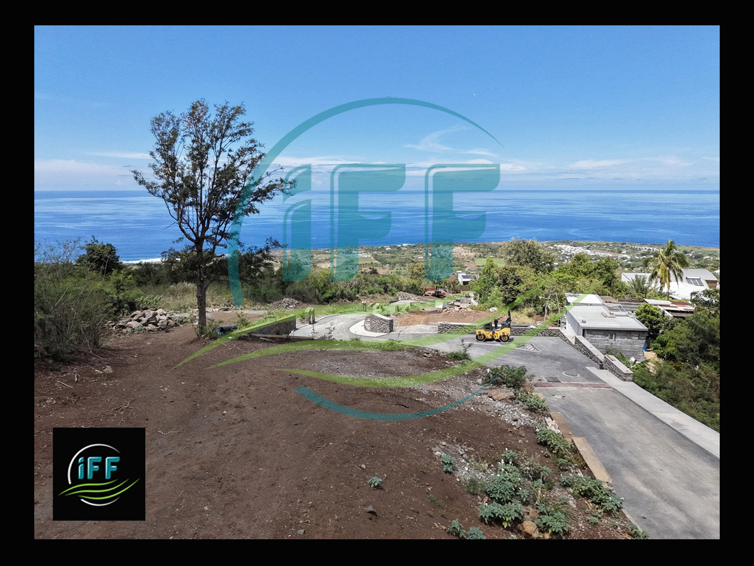 Agence immobilière de iff transaction