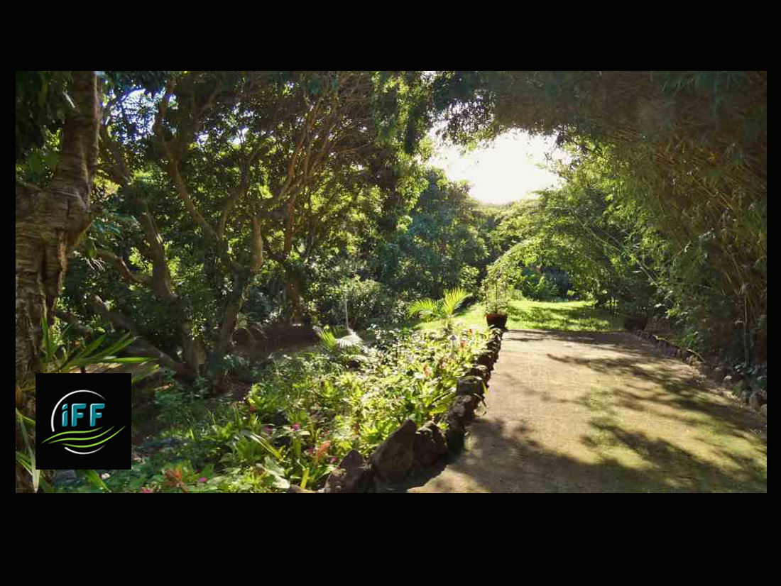 Agence immobilière de iff transaction