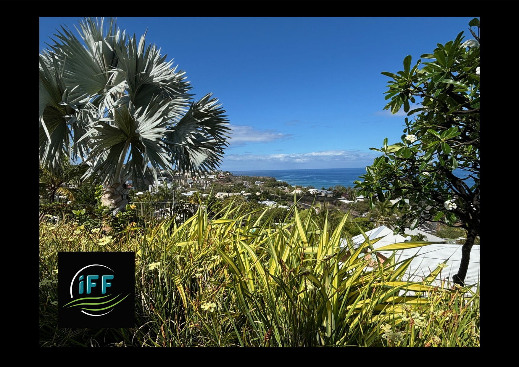 Agence immobilière de iff transaction